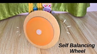 How to make Self balancing wheel with cardboard  DIY Rotating gyro toys  Science project [upl. by Hakkeber]