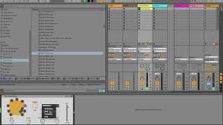 Op Oloop Warps maxforlive [upl. by Yuma786]