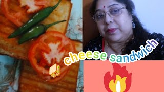 vlog7  cheese sandwich 🥪 would you try this smile with Sujata Mitra [upl. by Adim]