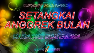 setangkai anggrek bulan broery marantika karaoke super studio [upl. by Enaitsirhc52]