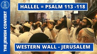 HALLEL at The Western Wall  Psalm 113118  English Subtitles [upl. by Clerk242]