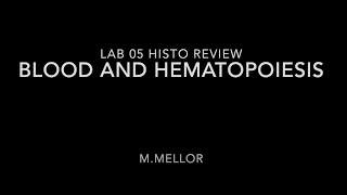 Histology  Hematopoiesis amp Blood Lab 5 Review [upl. by Ycat]