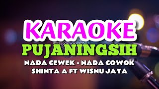 PUJANINGSIH  SHINTA ARSINTA FEAT WISNU JAYA KARAOKE [upl. by Nowtna]