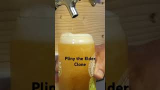 Watch the new download of my Pliny the Elder clone beer alcohol plinytheelder ipa dipa [upl. by Deidre]