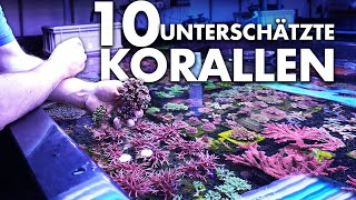 10 unterschätzte Korallen für dein MEERWASSERAQUARIUM  Fauna Marin [upl. by Bock]