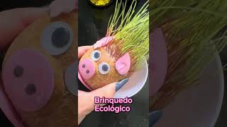 Brinquedo Ecológico [upl. by Neils]