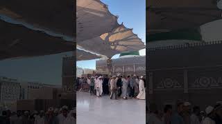 Tera Shuker hai Ya RAB  Al Hamdullilah  Masjid Nabawi  beautiful Dua medinah happiness travel [upl. by Edrea927]