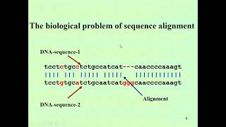 Local and Global sequence alignment 12 by Dr Sheikh Arslan Sehgal 27042021 [upl. by Orest]