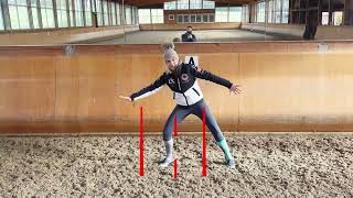 Dressage Explained Master the Basics of the Perfect Square Halt [upl. by Urbannai]