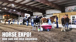 EVERYTHING DRAFT HORSE Part 2  Colic And Laminitis Prevention And Awareness [upl. by Yellah]