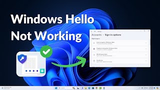 How to Fix Windows Hello Not Working on Windows 11 [upl. by Kurt]