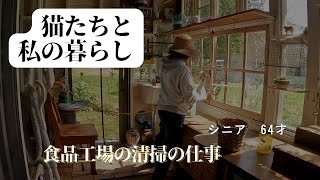 私の仕事の話です。猫一人暮らしパートダブルワーク工場清掃田舎暮らし [upl. by Dugas]