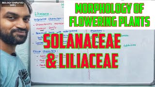 Morphology of flowering plants  Solanaceae and Liliaceae [upl. by Akital297]