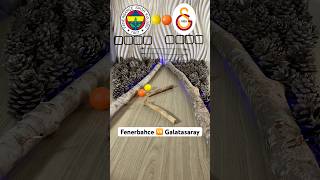 Fenerbahçe VS Galatasaray Maçı 🏓 Pinpon Topu fenerbahçe galatasaray futbol oyun shorts keşfet [upl. by Sehcaep203]