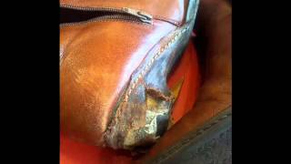 Uggs specialist reparatie javastraat 85 Amsterdam [upl. by Ayiotal768]