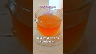 Está infusión o té de cascarilla de CACAO tiene propiedades únicas y no lo sabías cacao chocolate [upl. by Edmondo]