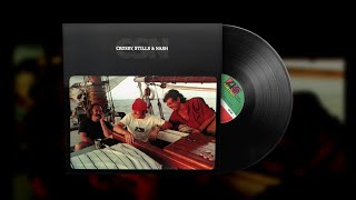 Crosby Stills amp Nash – Cathedral Vinyl Visualizer [upl. by Carol504]