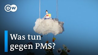 PMS das Syndrom vor der Menstruation  Sex amp the Body 12 [upl. by Nyladnohr]