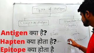 Antigen एंटीजन  Types of Antigen  Hapten  Epitope  Hindi [upl. by Lemrahc]