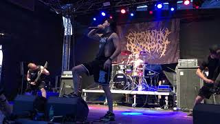 EXTERMINATION DISMEMBERMENT  Death Feast Open Air 2019 13 [upl. by Treulich]