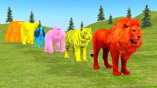 Long Slide Game With Elephant Gorilla Buffalo Hippopotamus Tiger  3d Animal Game  Funny 3d Animals [upl. by Adnolaj731]