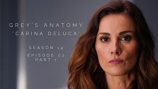 Stefania in Greys Anatomy S14E02 pt1 as Carina DeLuca [upl. by Spears362]