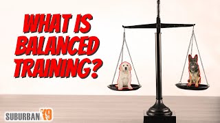 What is Balanced Dog Training Plus an In Depth Explanation of Operant Conditioning [upl. by Richardson]