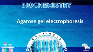 Pract 9 PCR and detection of amplified DNA agarose gel electrophoresis biochemistry [upl. by Etyak]