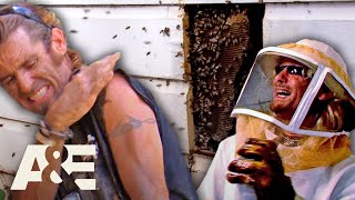 Billys Biggest BEE Battles  Part 2  Billy the Exterminator  AampE [upl. by Danyelle]