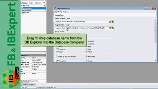 Tutorial 6 IBExpert Database Comparer [upl. by Sup998]