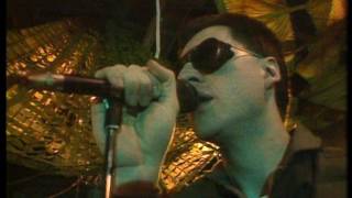 Front 242  No Shuffle Live 1985 [upl. by Lotsirb51]