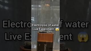 Electrolysis of water 💥science experiment Electrolysis shorts 🧪 [upl. by Tanya]