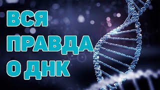 Великая Тайна ДНК  Документальный фильм 2020 [upl. by Kym]