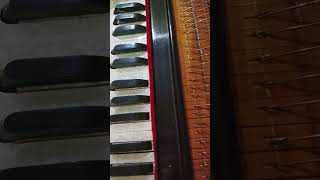 Haath Jorie Mangini Manganwan Ye MayeeBhojpuri Devi Geet yt music on Harmonium [upl. by Whang]