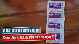 APA ITU ASAM FOLAT DAN APA SAJA MANFAATNYA [upl. by Wolsky286]