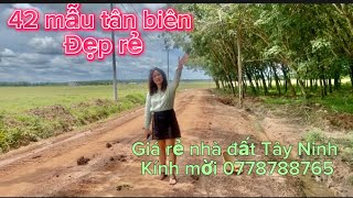 42 mẫu đất tân biên Tây Ninh gần khu dân  cách DT 788 vô 15km giá 1 ty 150 tr 0778788765 [upl. by Fi]