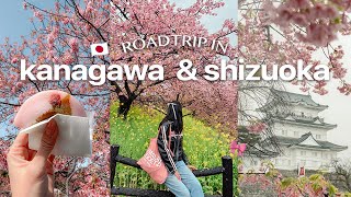 5 days in kanagawa and shizuoka 2 hrs from tokyo 🌸 [upl. by Naghem]