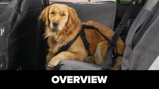 WeatherTech Pet Safety Harness One Minute Overview [upl. by Sedda312]