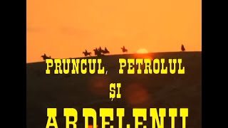 PRUNCUL PETROLUL ȘI ARDELENII 1981 [upl. by Selbbep]