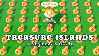 How to use Treasure Islands in Animal Crossing New Horizons [upl. by Arand661]