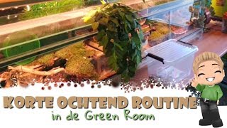 🌄 Korte ochtend routine in de Green Room [upl. by Billye]