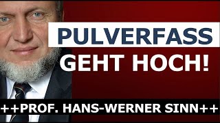 Prof Hans Werner Sinn Europa in Trümmern SCHOCKIERENDE Wahrheiten [upl. by Patrizia]