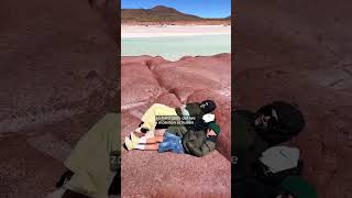 We deden een begeleide tour naar de hoogtemeren van Atacama [upl. by Zimmermann]