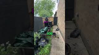 THE MOST PATHETIC BIKE THIEF IN BRITAIN [upl. by Hyde]