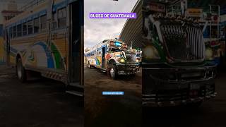 AUTOBUSES DE GUATEMALA feedshorts buses guatemala suscribete [upl. by Ahsemot]