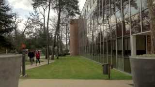 INSEAD MBA Career Development [upl. by Amein]