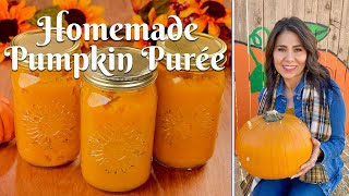 HOW TO MAKE HOMEMADE PUMPKIN PUREE Easy Pumpkin Purée from ScratchSugar Pie amp Carving Variety [upl. by Hennie532]