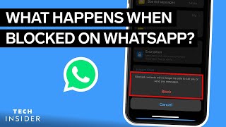 What Happens When You Block Someone On WhatsApp  Tech Insider [upl. by Hairym]