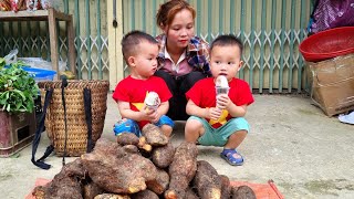 Harvest yams  bring them to the market to sell  Chúc Thị Duyên [upl. by Kroll]