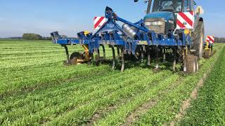 The dream team the Treffler TGA and TF Cultivators in cover crop [upl. by Croydon855]